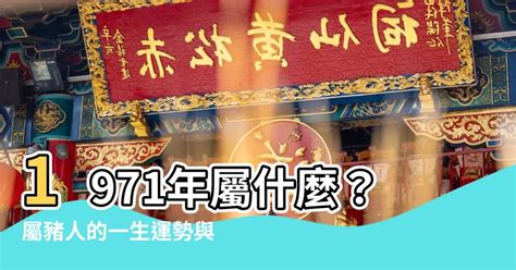 1971屬豬幸運數字|【1971屬豬幸運數字】1971屬豬幸運數字好運相隨！這些數字讓。